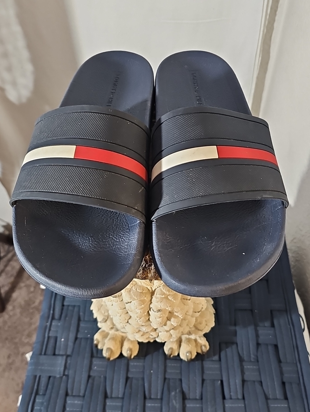Tommy Hilfiger Black Slide Sandals with Red and Cream Stripe